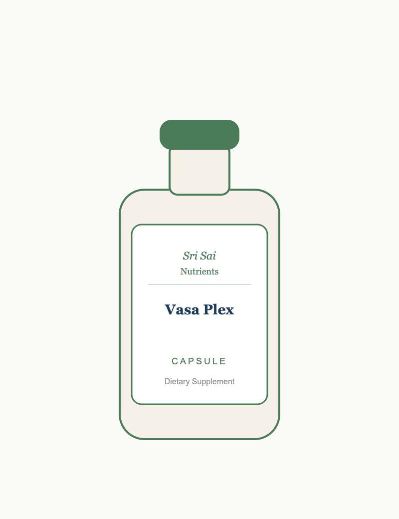 Vasa Plex